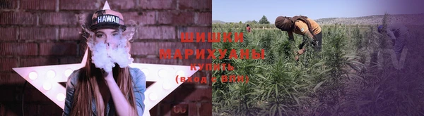 хмурый Козловка