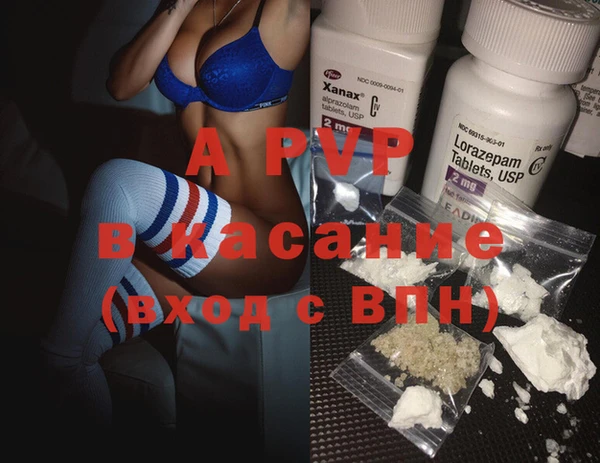 PSILOCYBIN Козельск