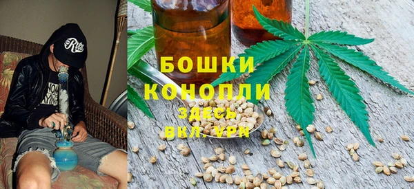 хмурый Козловка