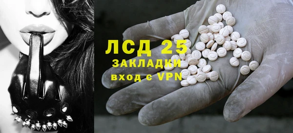 PSILOCYBIN Козельск